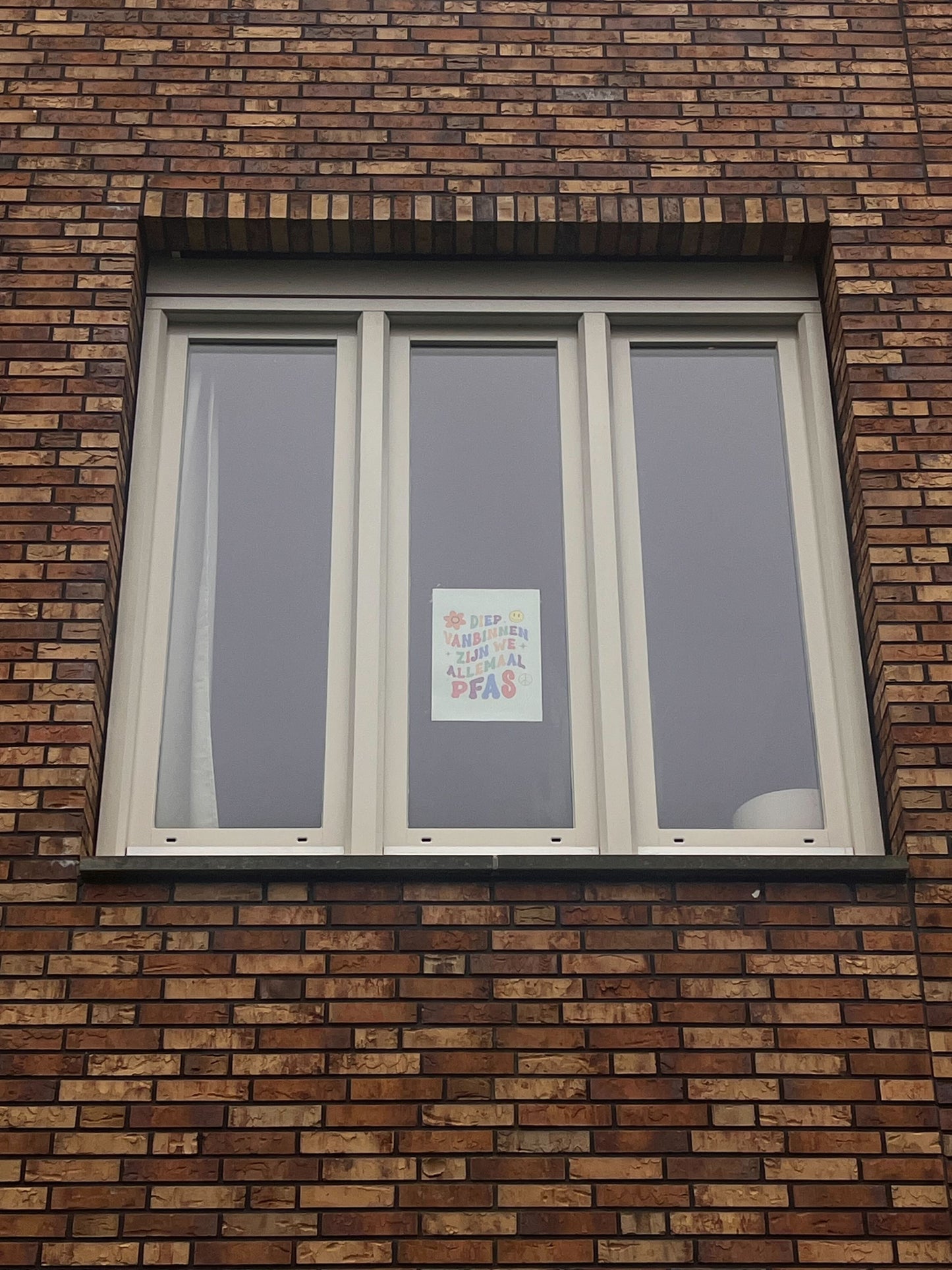 Poster 'Diep van binnen zijn we allemaal PFAS' | PFAS collection